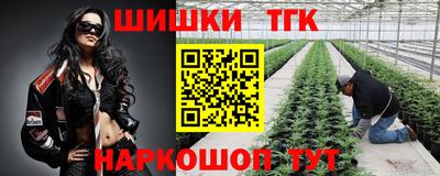тгк Можайск