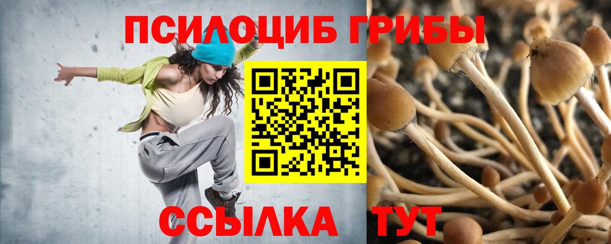 Галлюциногенные грибы Cubensis  Вход с VPN  Сызрань 